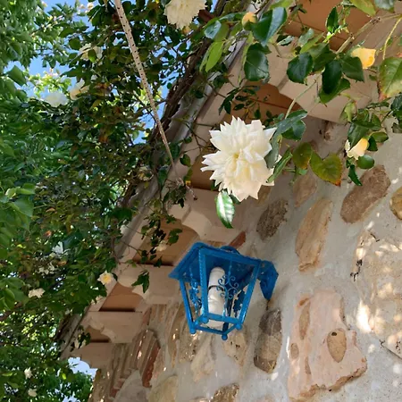 Bed & Breakfast Sole Azzurro *