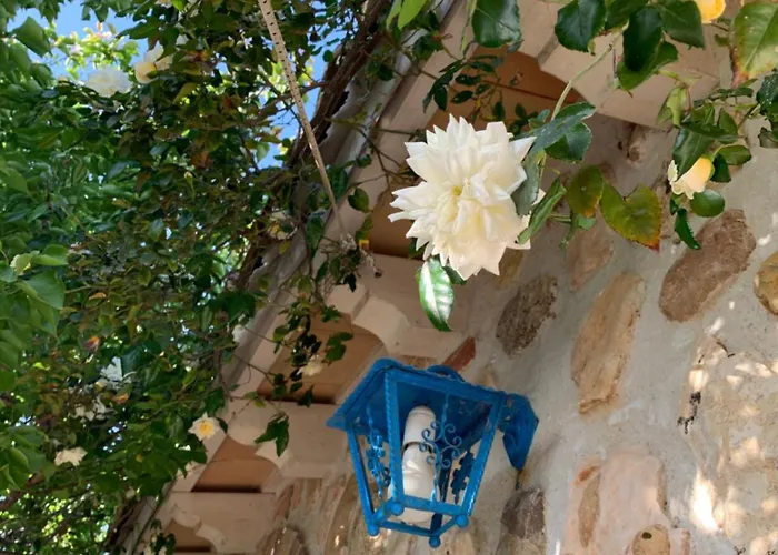 Bed & Breakfast Sole Azzurro 3*