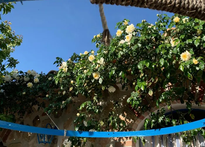 Sole Azzurro Bed & Breakfast